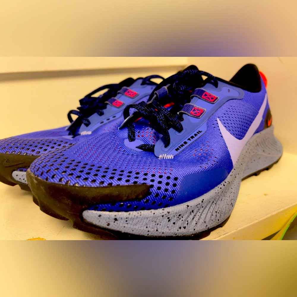Nike Pegasus trail shoes